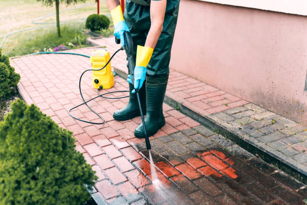 Best House Exterior Washing  in Niagara University, NY